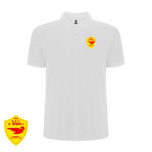 Polo di rappresentanza